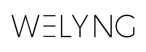 Welyng old logo